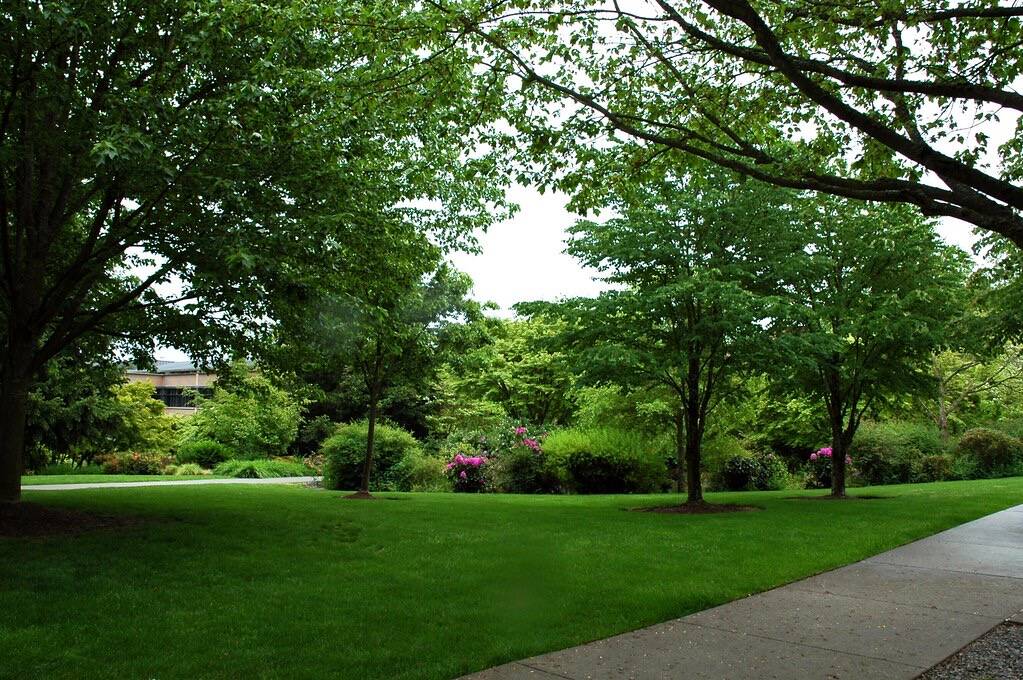 Gazon met bomen en heesters langs een pad bij een kantoorgebouw