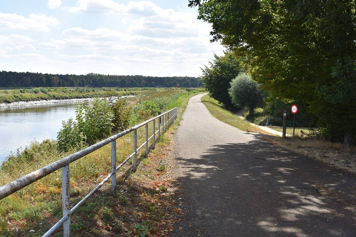 Fietspad langs de Nete in Duffel, met een leuning en bomen